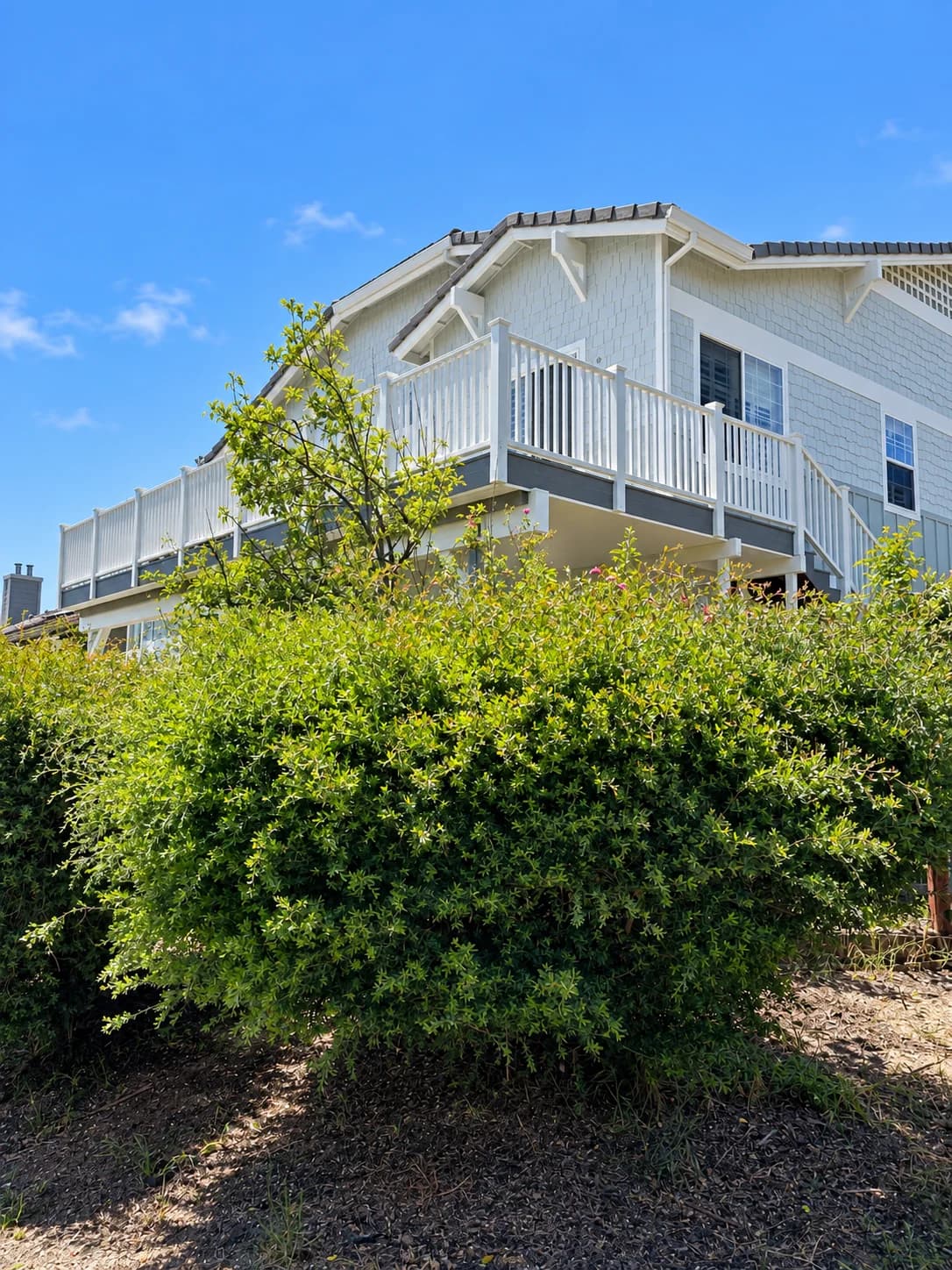 White Shingles & Wraparound Deck — project view 1